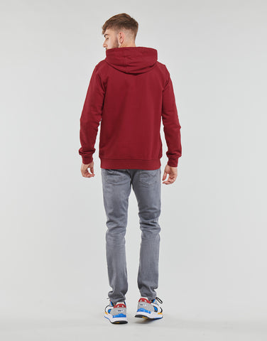 Felpa Helly Hansen con cappuccio